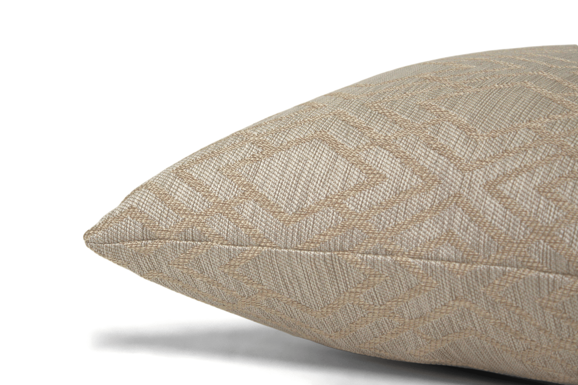 Oyster Cushion Cover