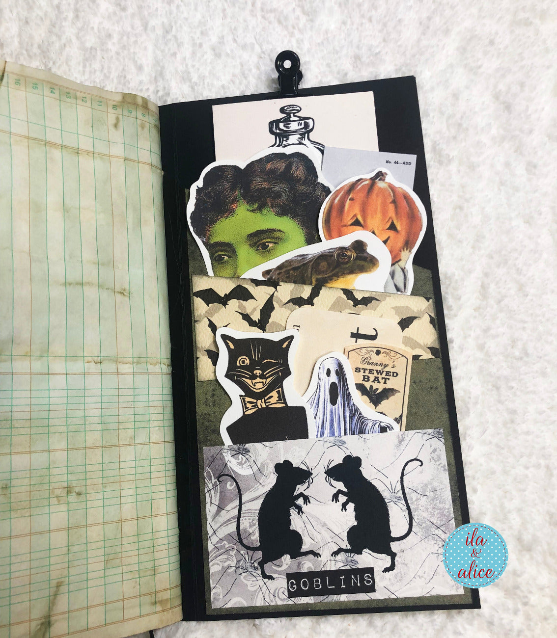 Joli folio d'Halloween avec un chat noir et une lanterne Jack O'Lantern