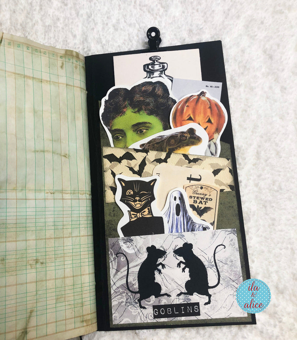 Cute Halloween Folio with a Black Cat and Jack O'Lantern