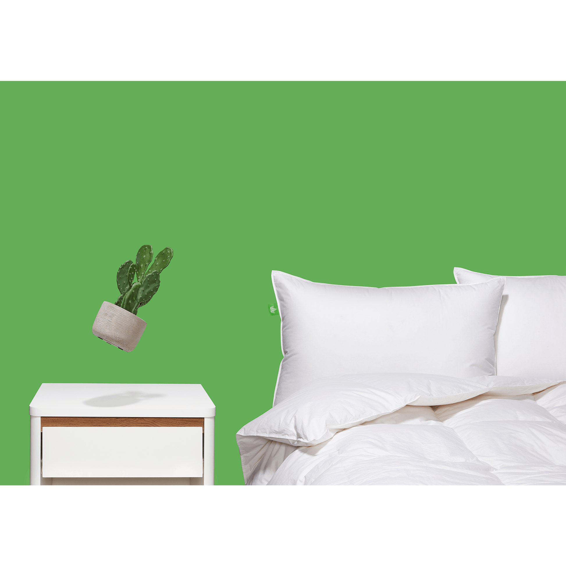 Oreiller Down Perfect™