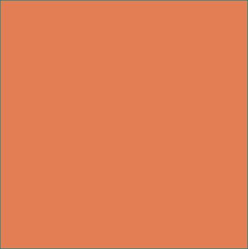 AGF Pure Solids - Carotte séchée, 1/4 yard
