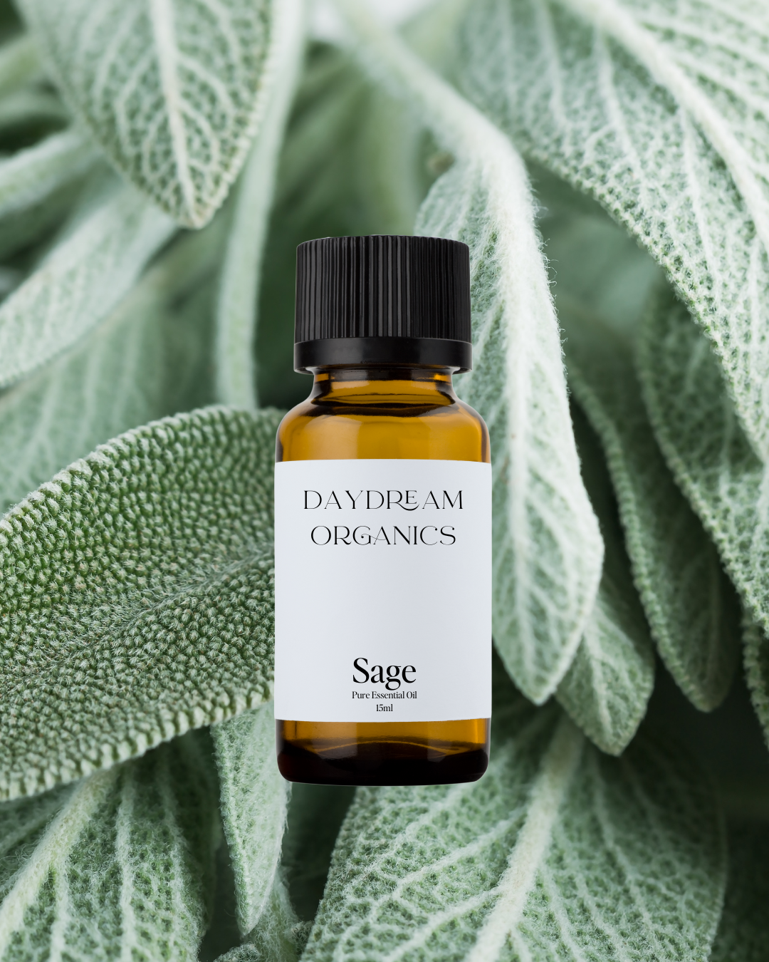 Sage Essential Oil