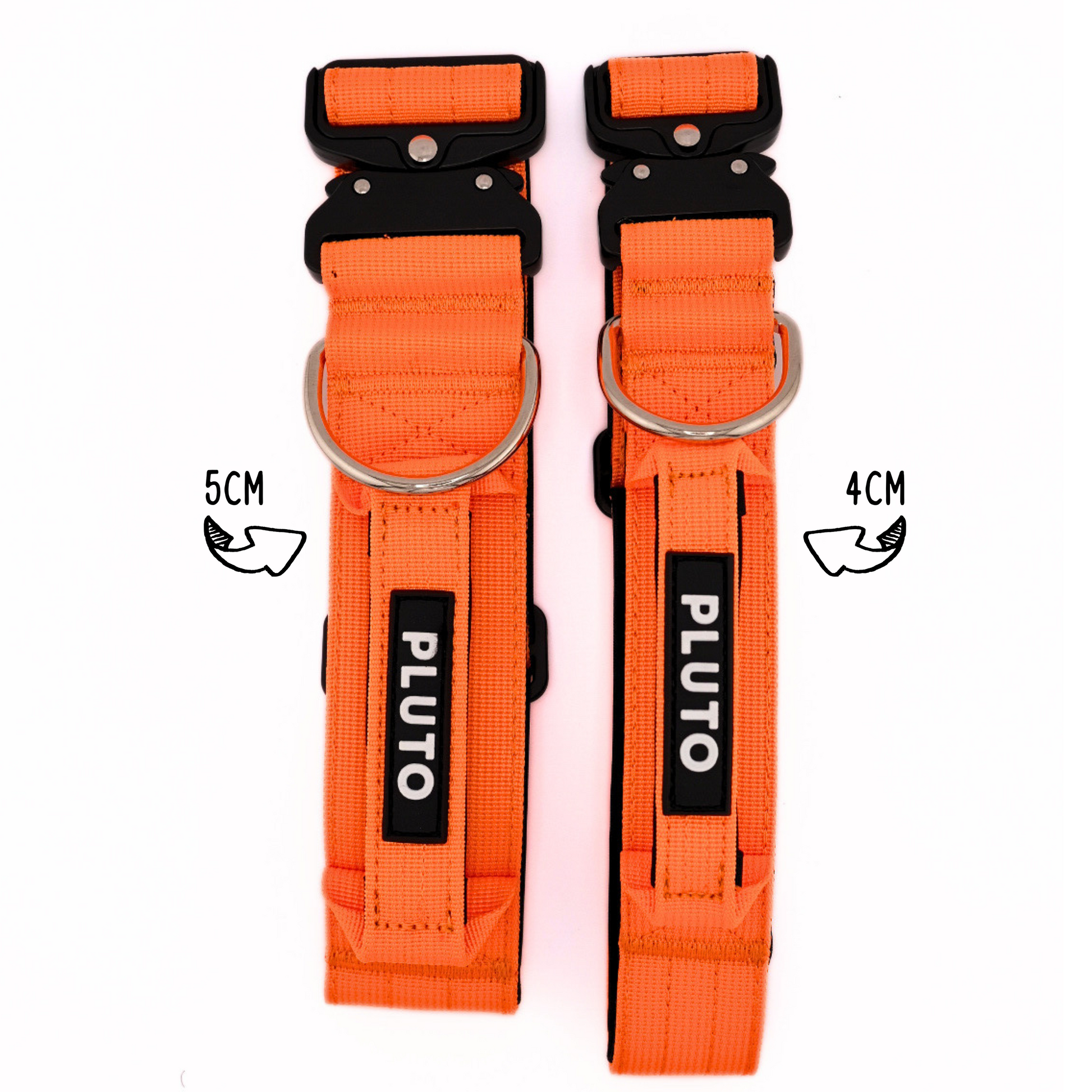 Collier pour chien robuste