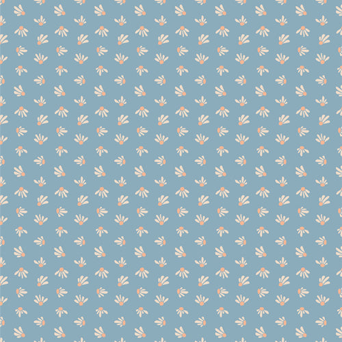 AGF Evolve ; Échinacée céruléenne, 1/4 yard