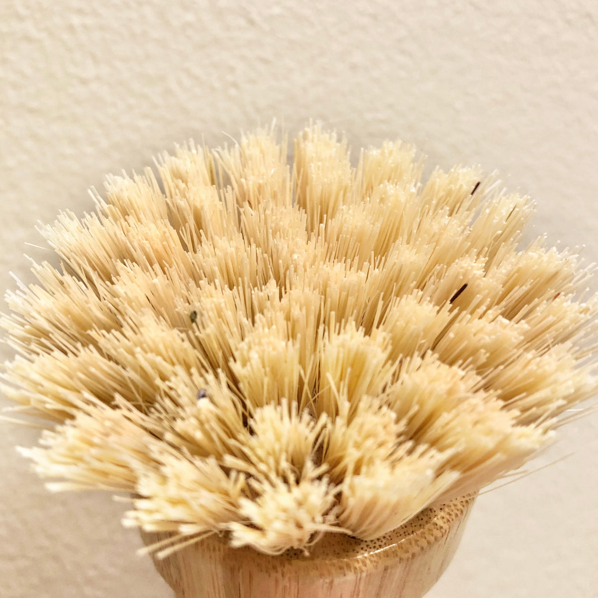 Brosse à récurer à poignée en bambou