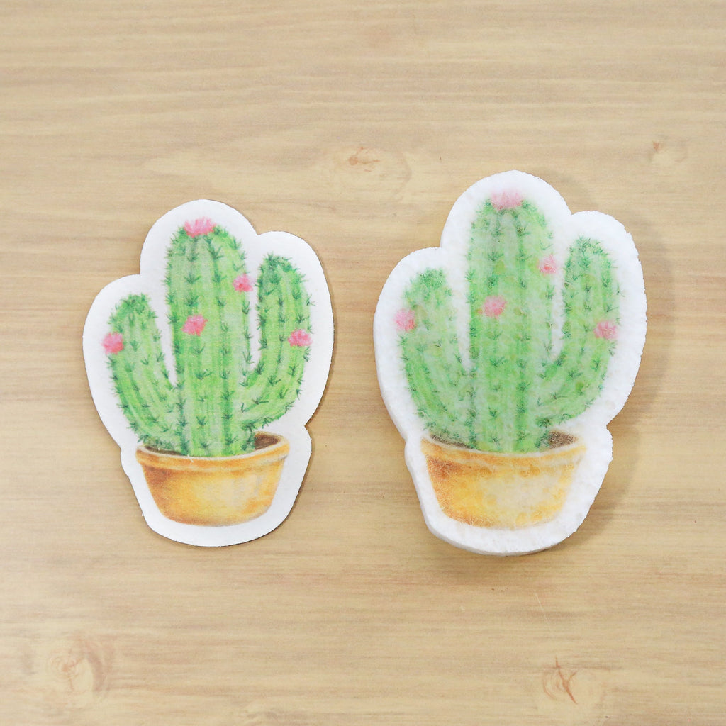 Éponge Cactus Pop Up