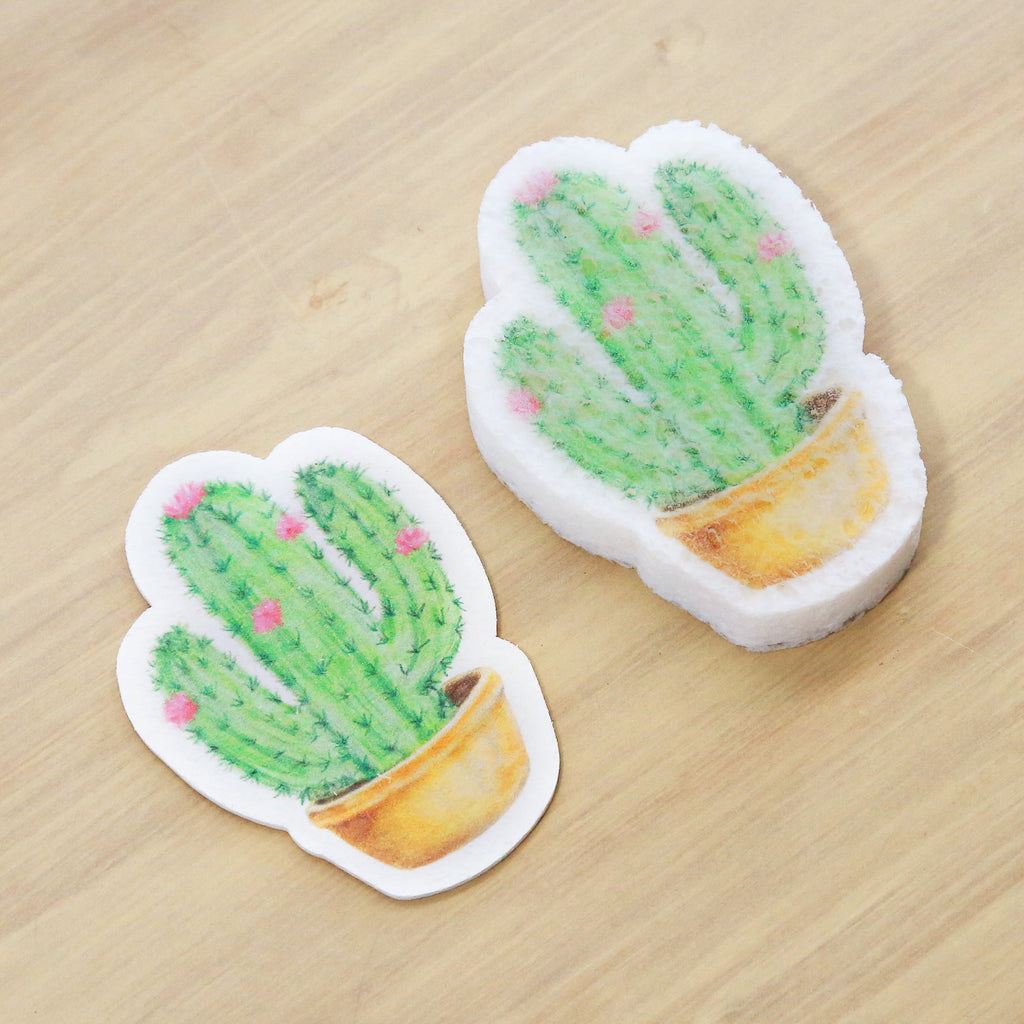 Éponge Cactus Pop Up