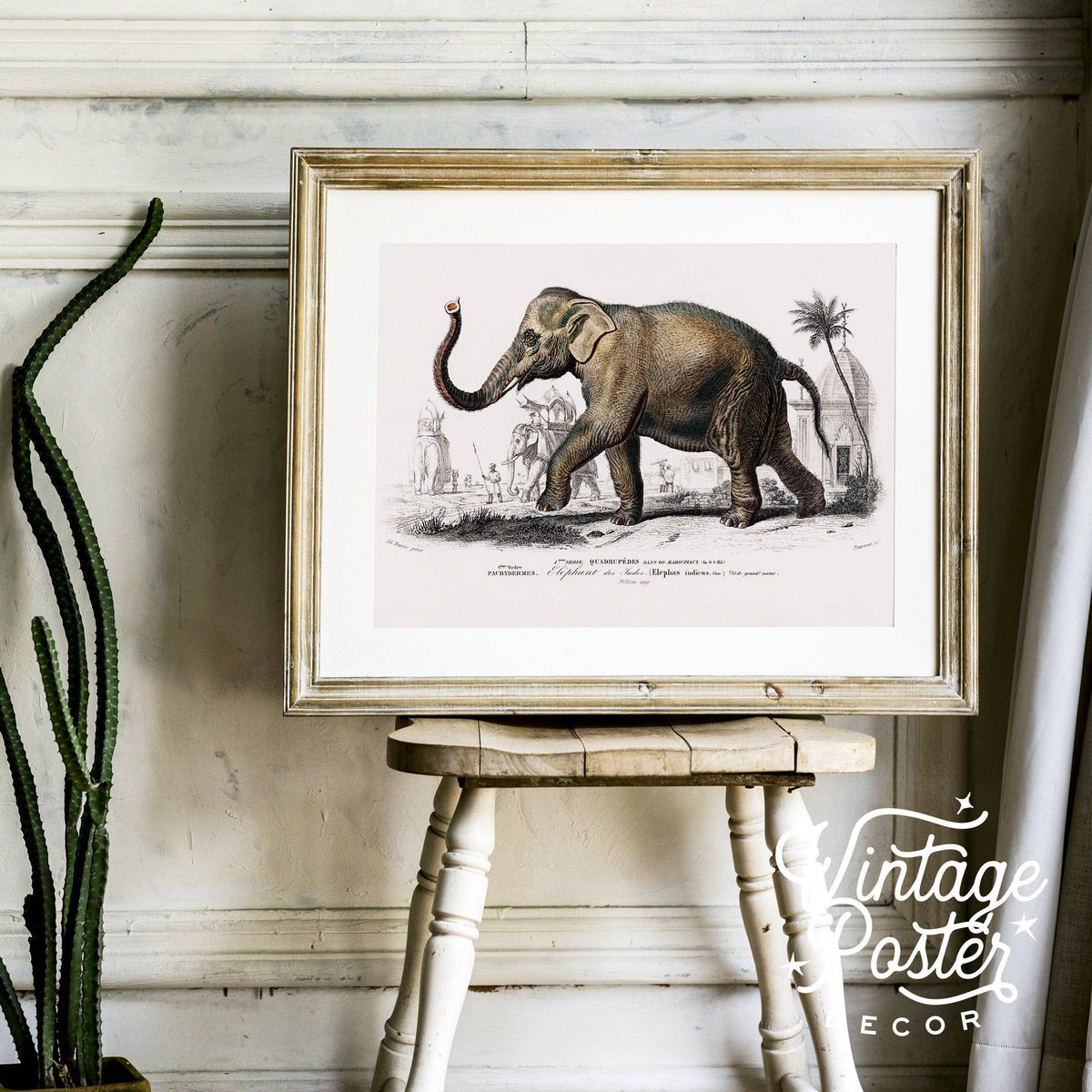 Charles Dessalines Indian Elephant Print – Vintage Natural History Wall Art