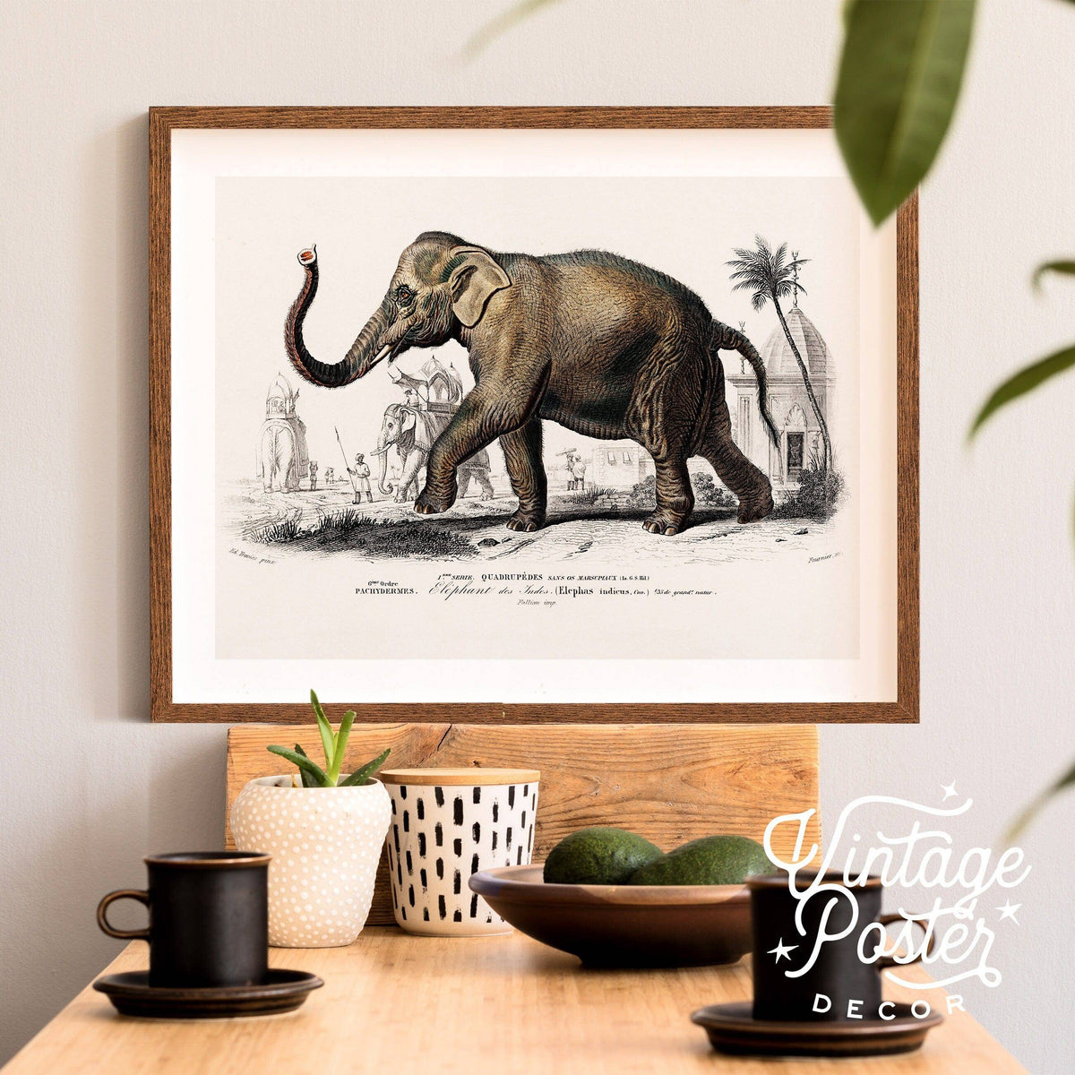 Charles Dessalines Indian Elephant Print – Vintage Natural History Wall Art