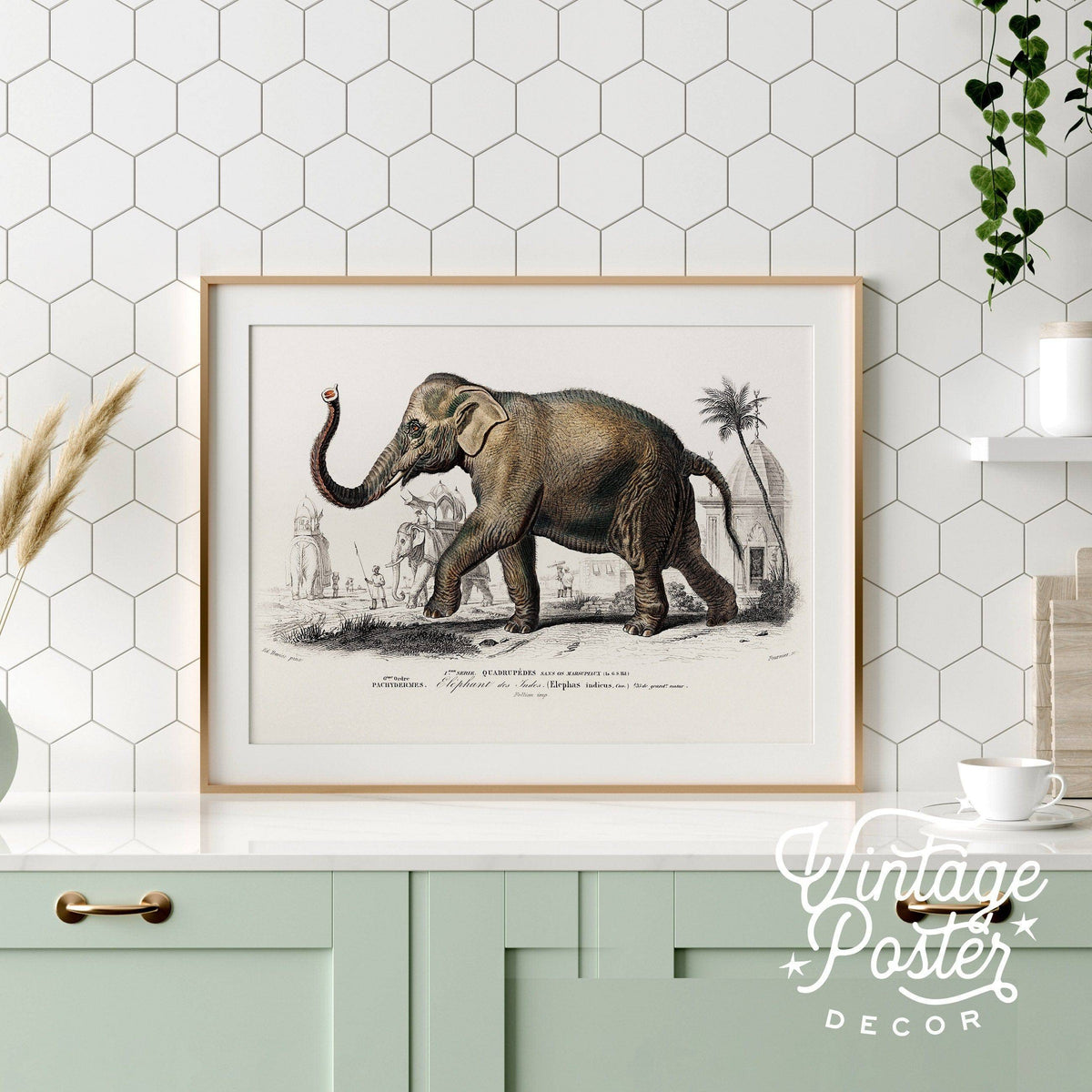 Charles Dessalines Indian Elephant Print – Vintage Natural History Wall Art