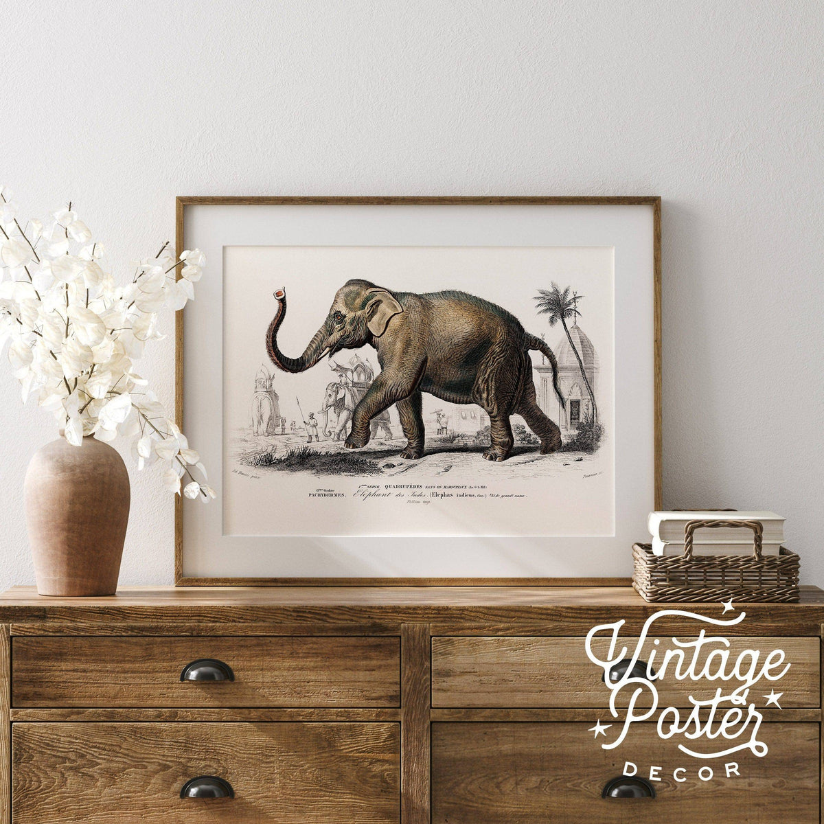 Charles Dessalines Indian Elephant Print – Vintage Natural History Wall Art