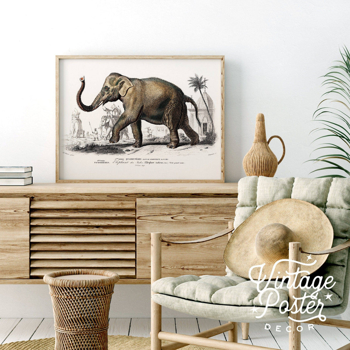Charles Dessalines Indian Elephant Print – Vintage Natural History Wall Art