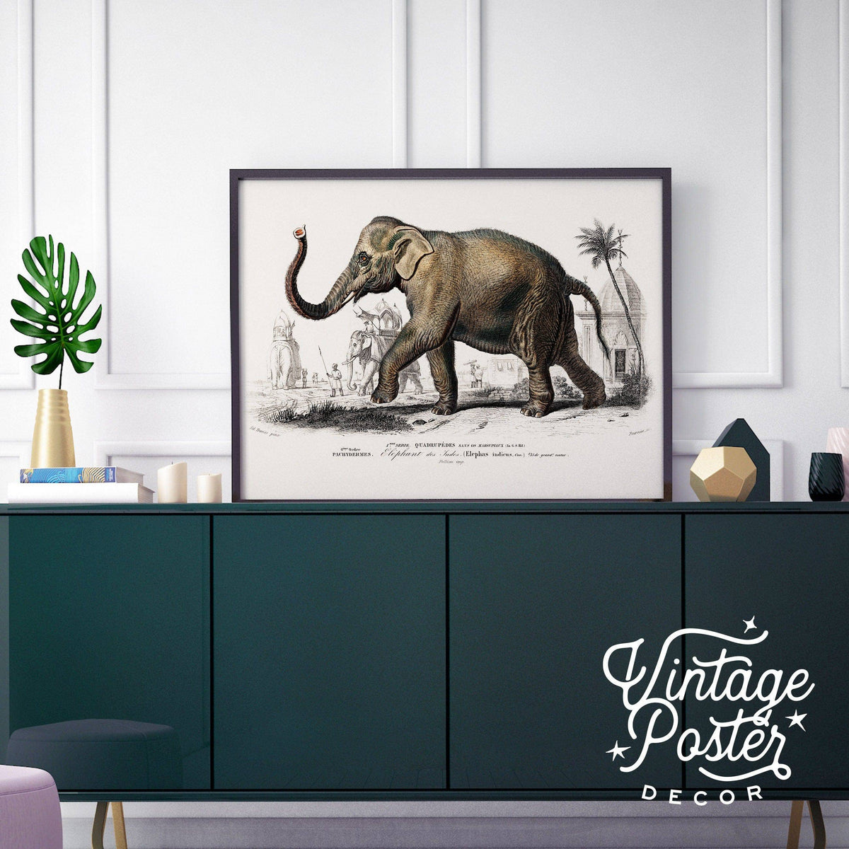 Charles Dessalines Indian Elephant Print – Vintage Natural History Wall Art