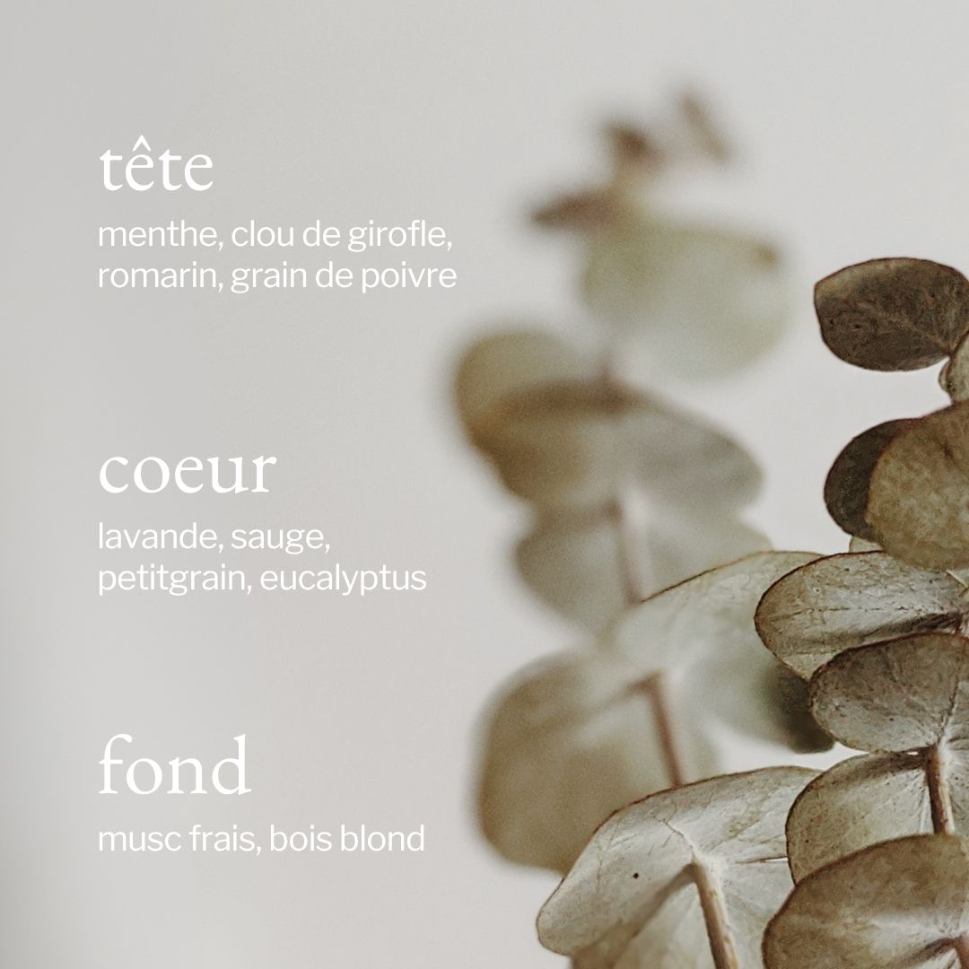 Candle | Eucalyptus, Mint & Rosemary