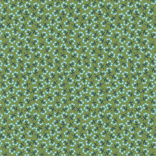 Graines de fleurs AGF ; Sweet Floret Graze, 1/4 yard