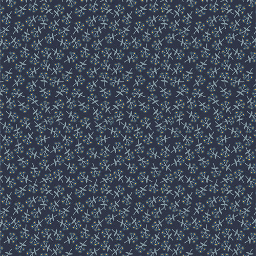 Graines de fleurs AGF ; Sweet Floret Breeze, 1/4 yard
