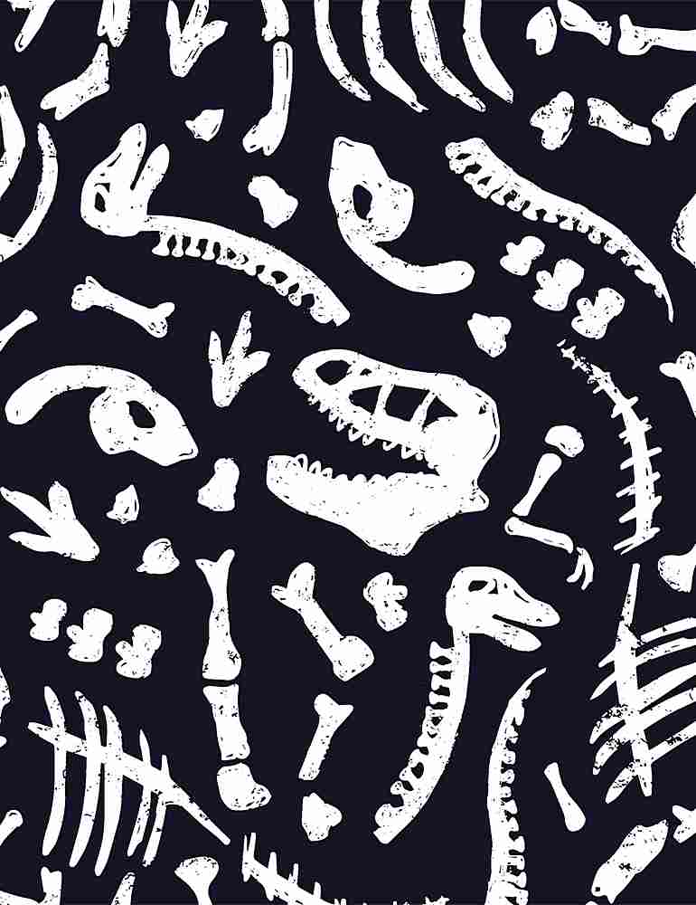 Os de dinosaure phosphorescents par Timeless Treasure
