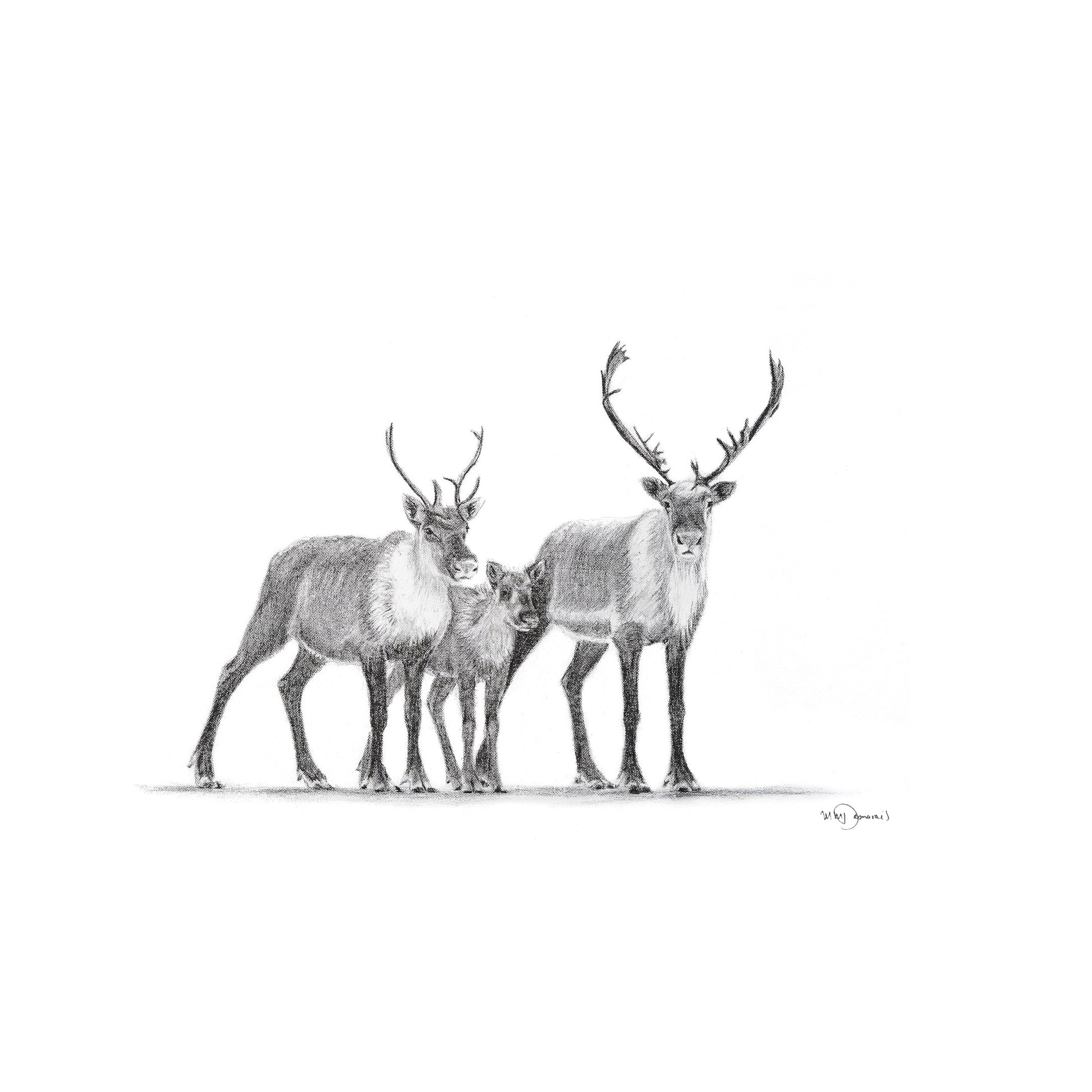 Caribou family Greeting Card