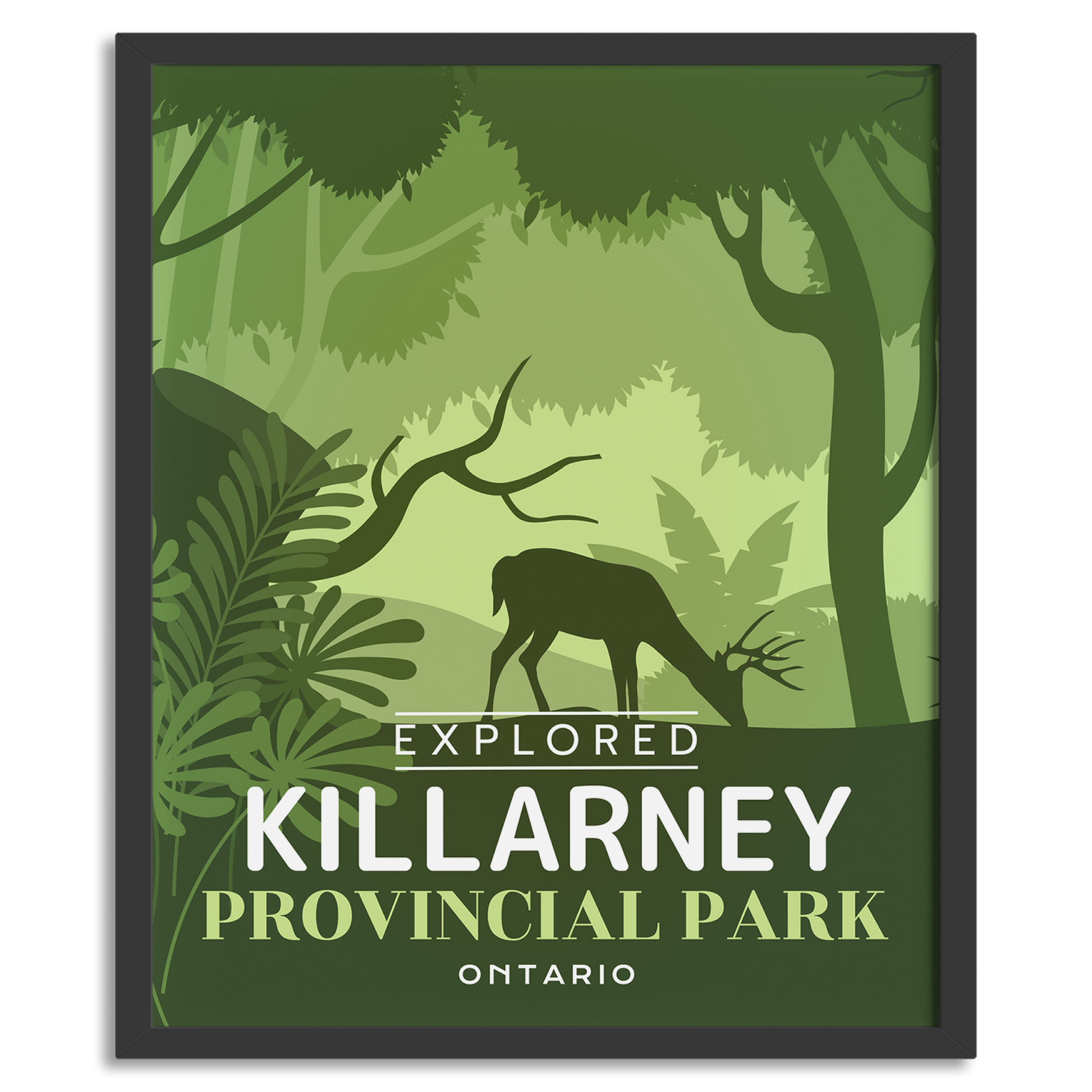 Affiche « Explorée » du parc provincial de Killarney