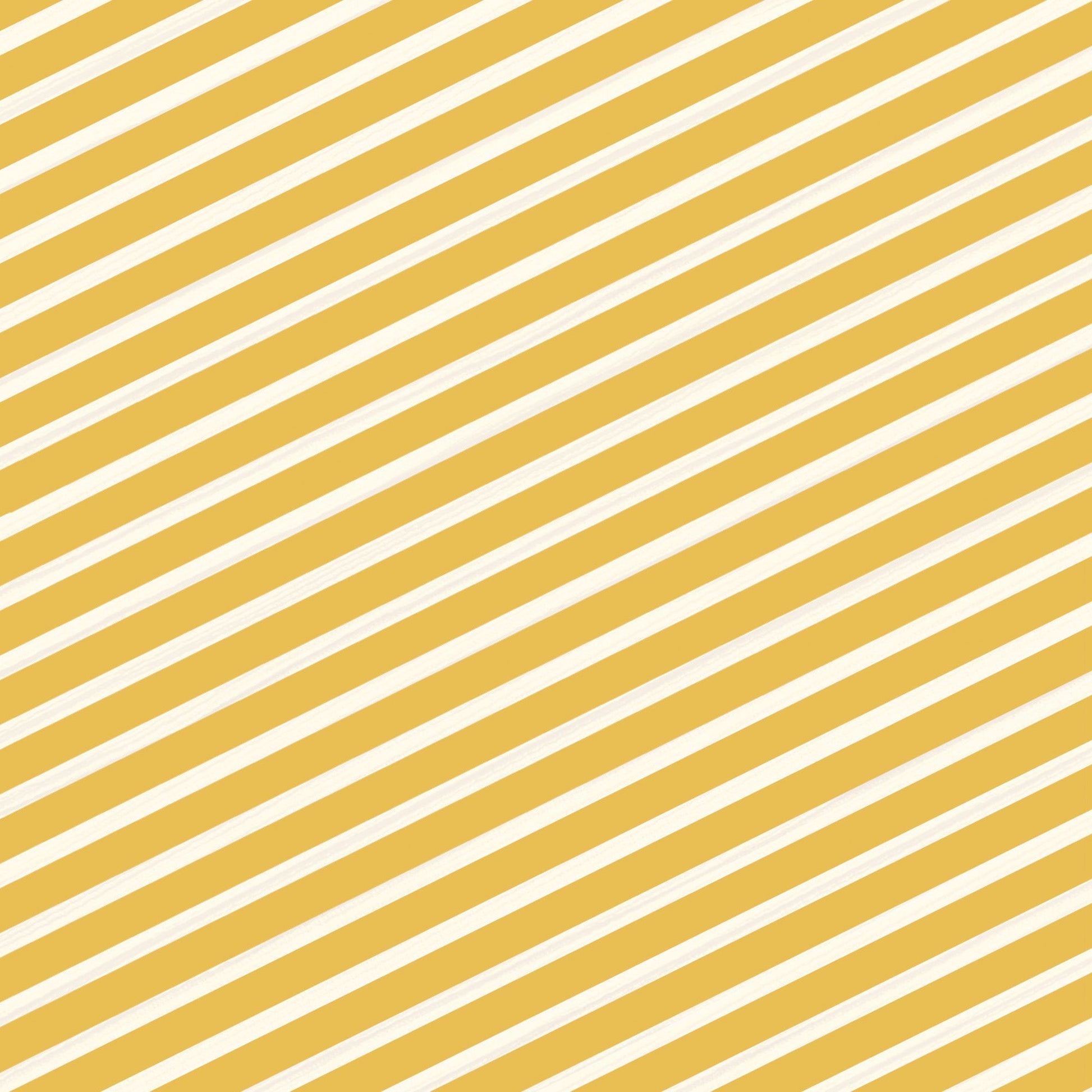 Crafter’s Companion Celebrate Good Times Collection - 6”x6” Paper Pad 