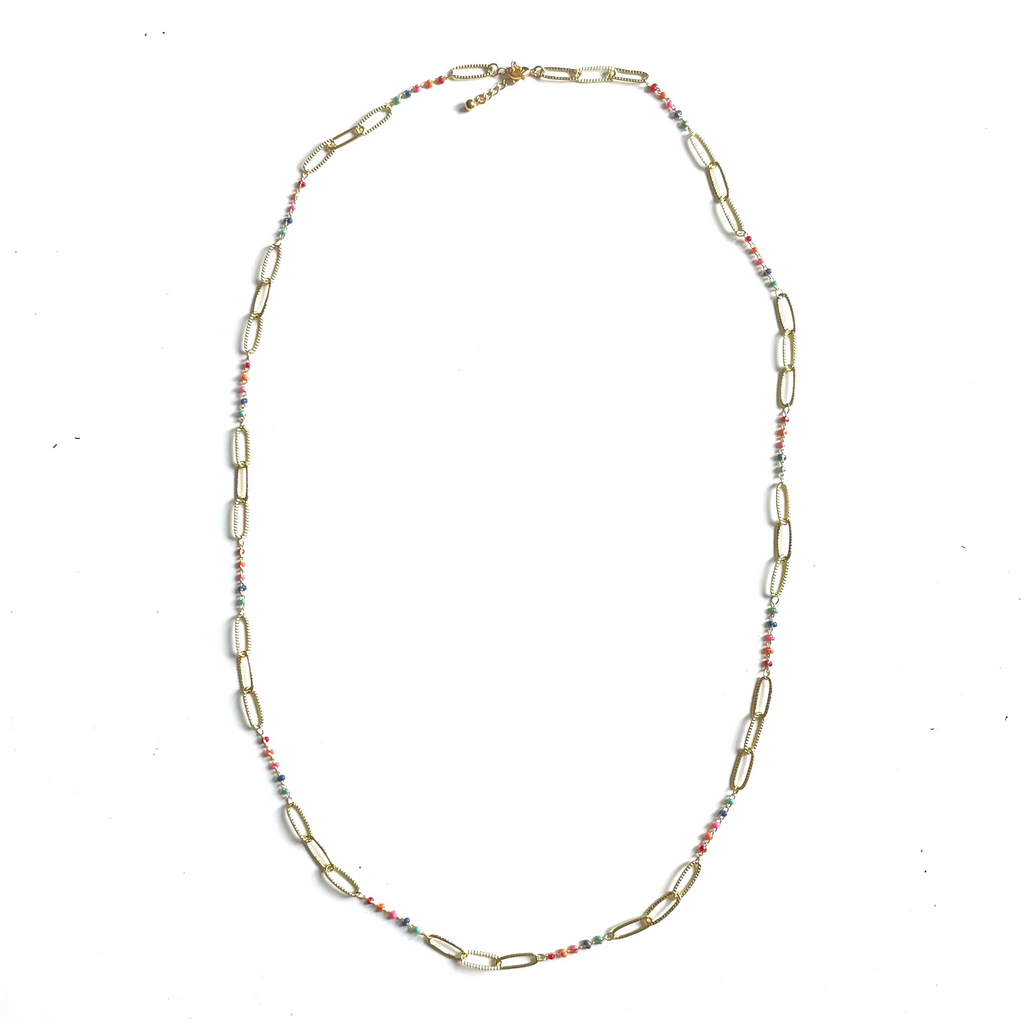 Long Chainlink Necklace with Enamel