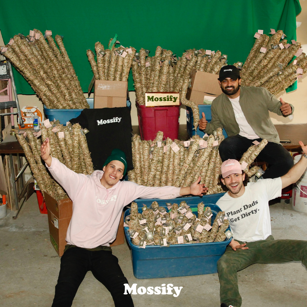 Mossify
