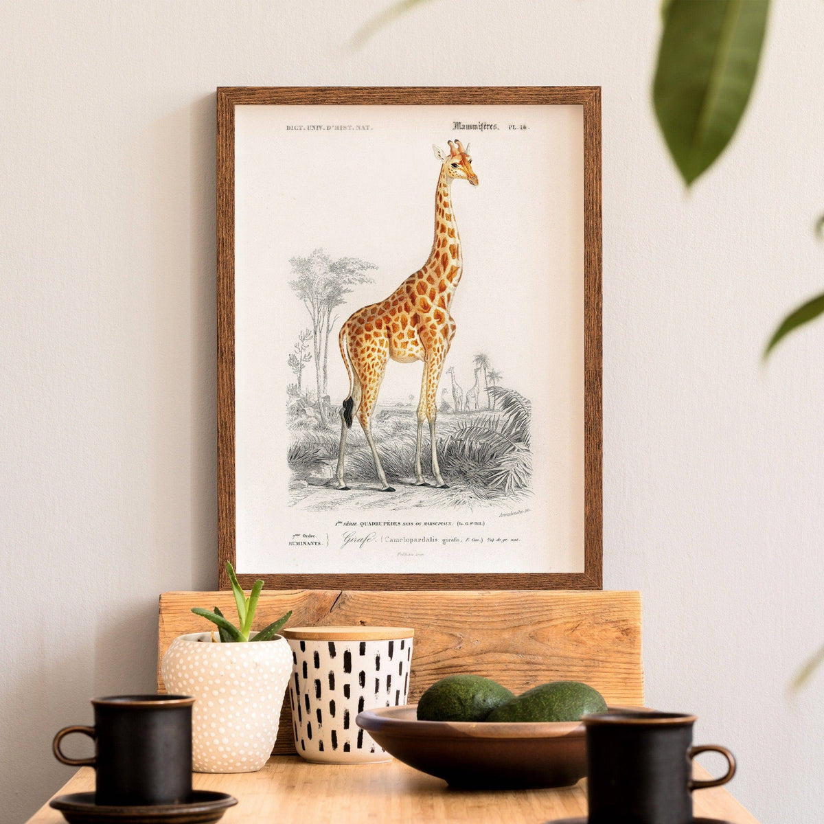 Charles Dessalines Giraffe Print – Vintage Natural History Wall Art Poster