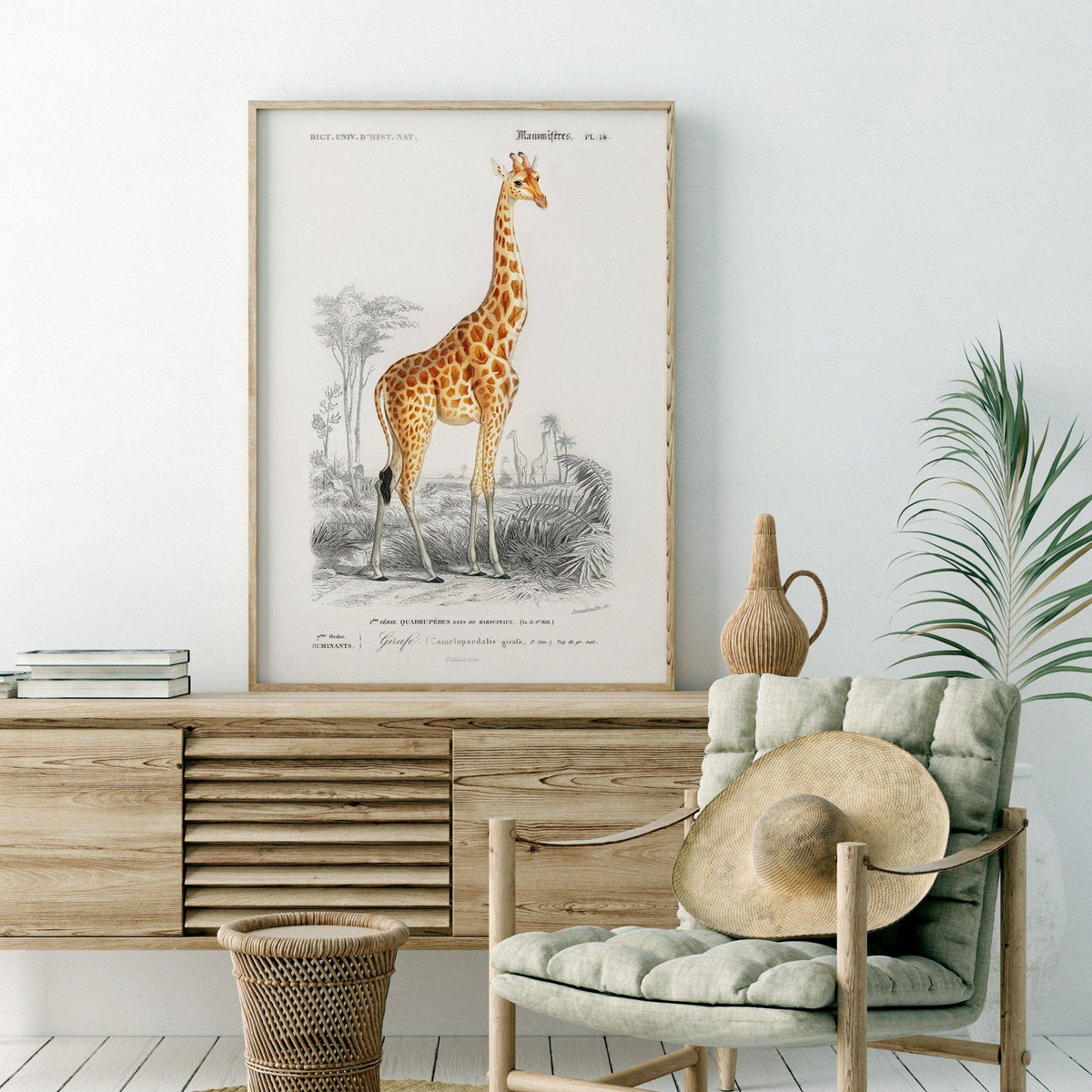 Charles Dessalines Giraffe Print – Vintage Natural History Wall Art Poster
