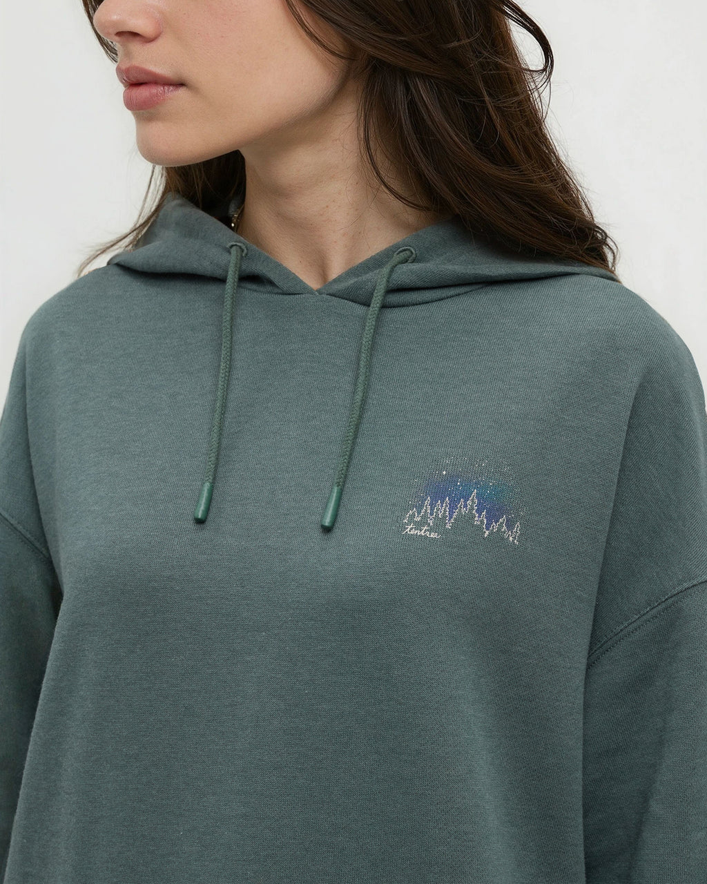 Parks Landscape Oversized Hoodie