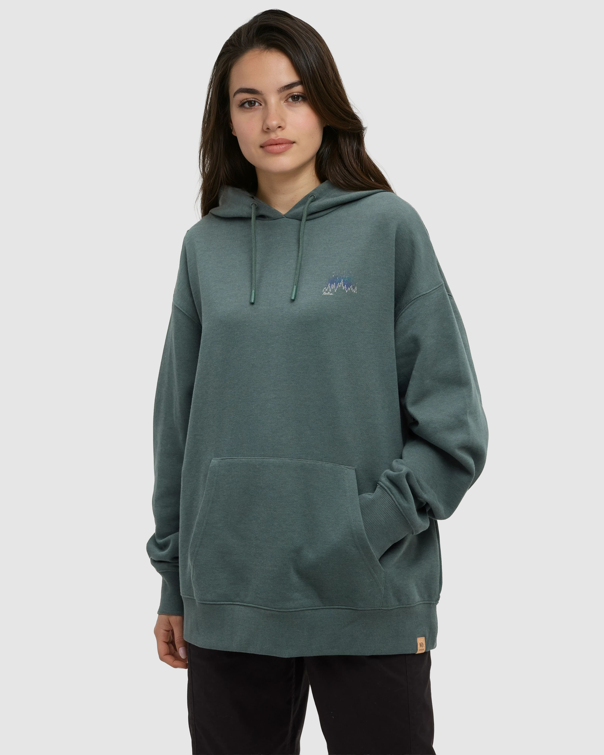 Parks Landscape Oversized Hoodie