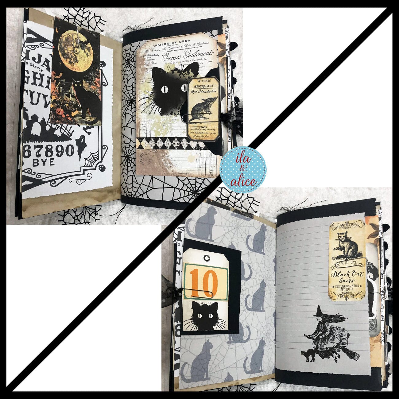 Journal d'Halloween rempli de déchets dédié aux chats noirs #4