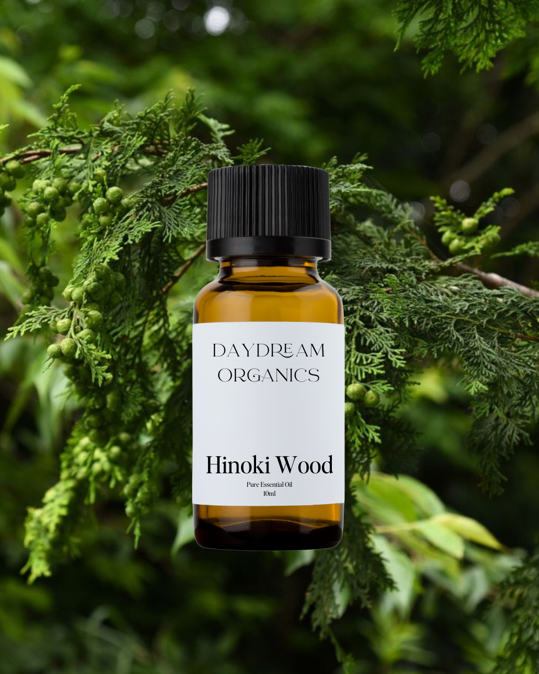 Hinoki Wood Essential Oil