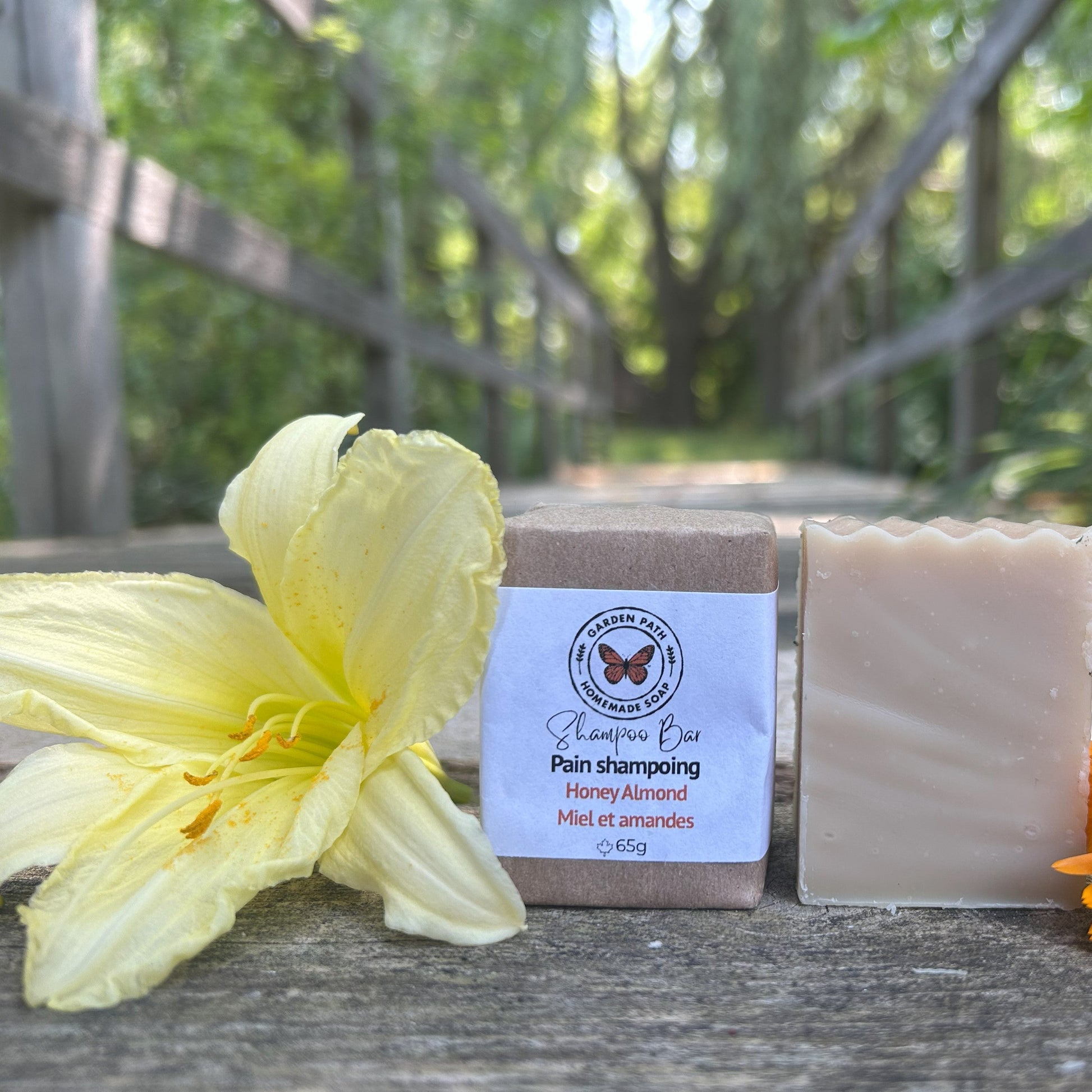 Honey Almond Shampoo Bar | Lightly Scented Honey Almond Fragrance | Made with Beer