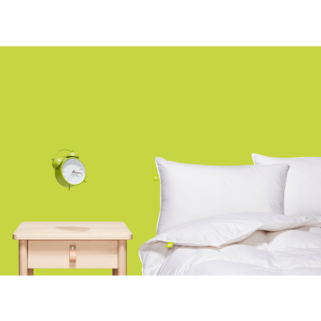 Couette en duvet blanc huttérite