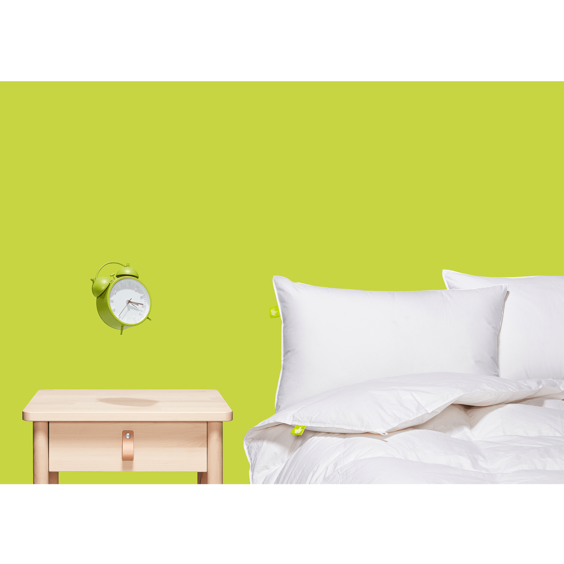 Couette en duvet blanc huttérite