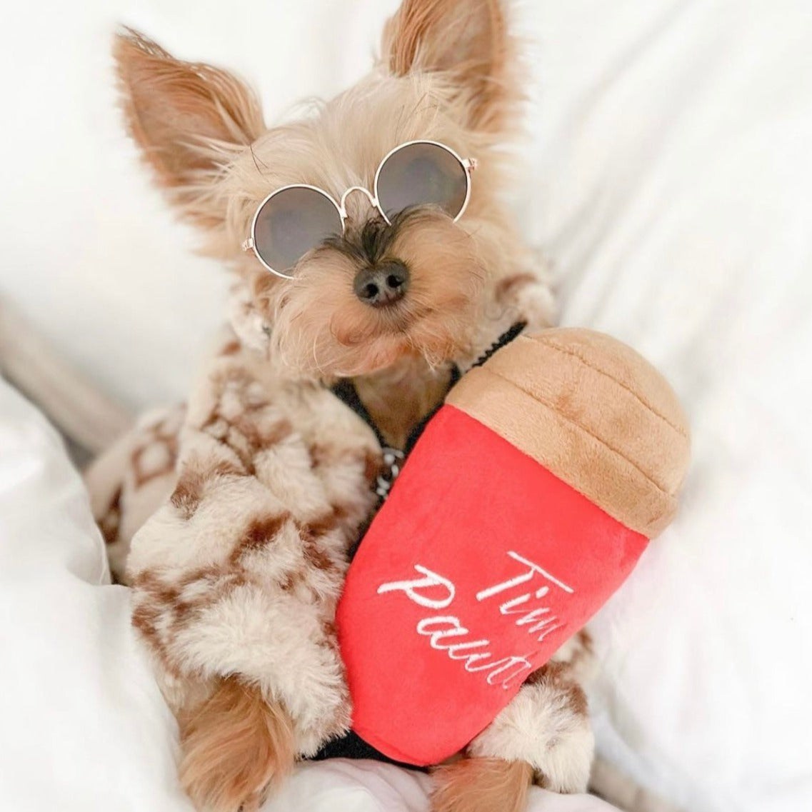 Jouet pour chien Tim Pawtons 