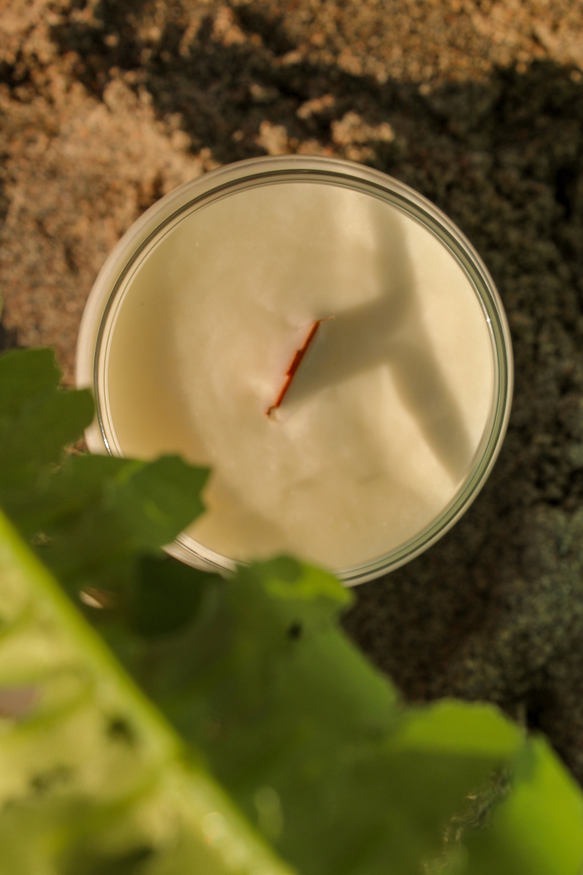 16 oz Soy Candle - Summer Crush