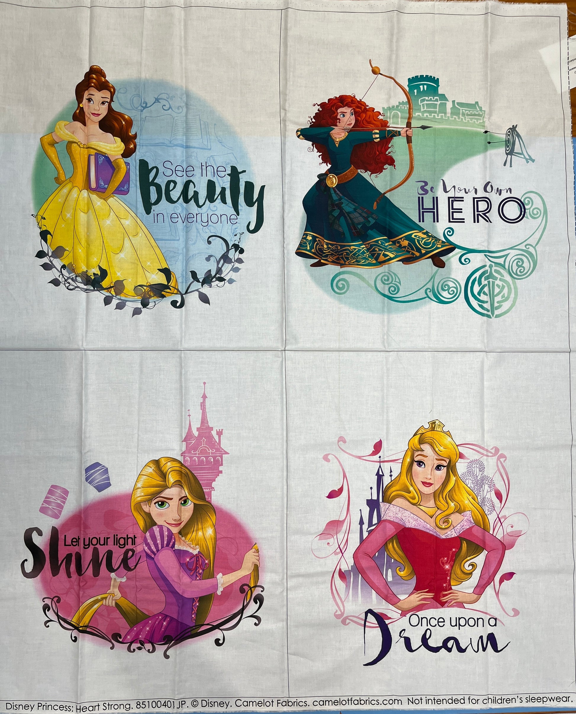 Panel des princesses Disney