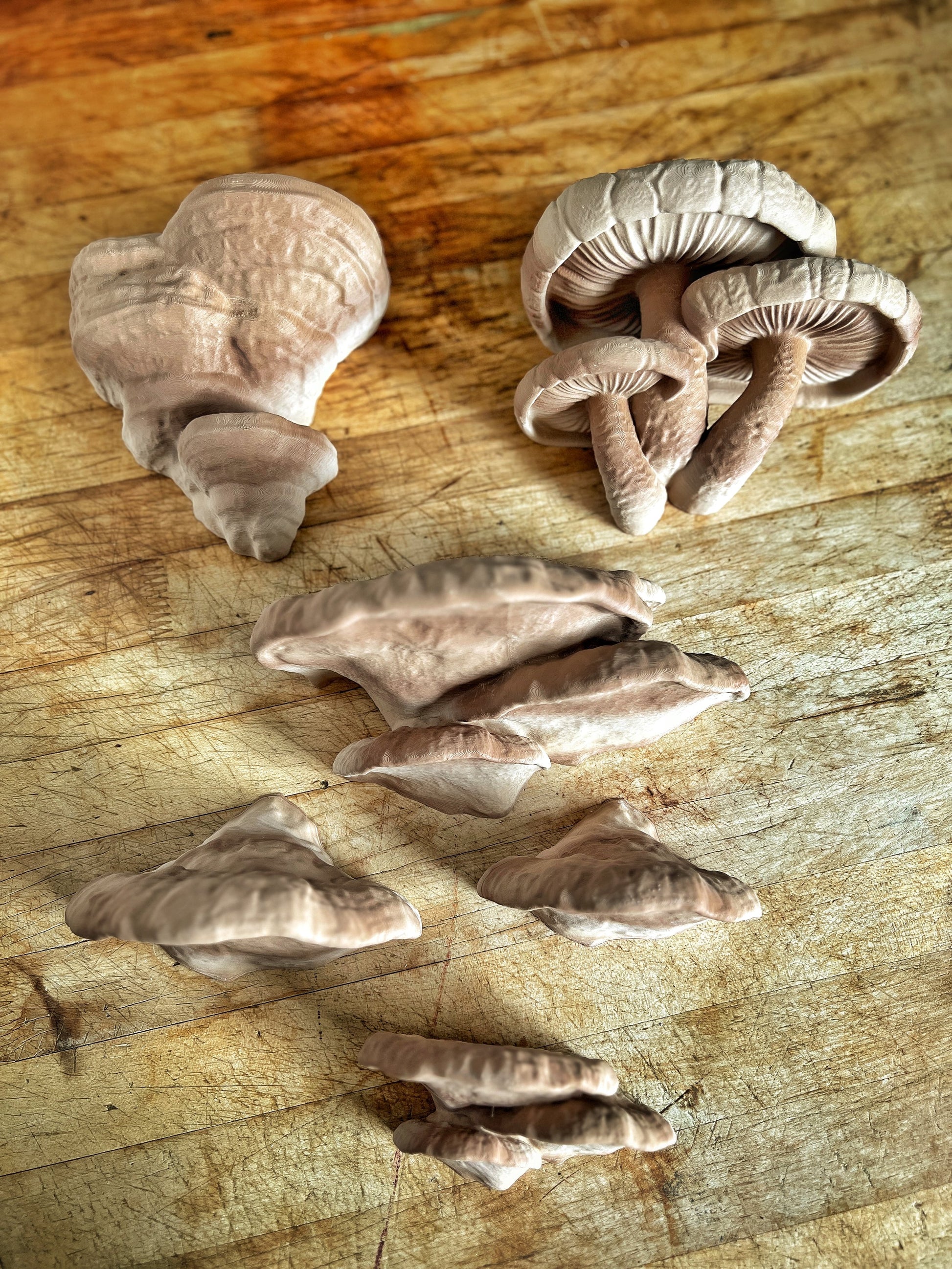 Lot de petites étagères champignon phosphorescentes, décoration de chambre esthétique et forestière