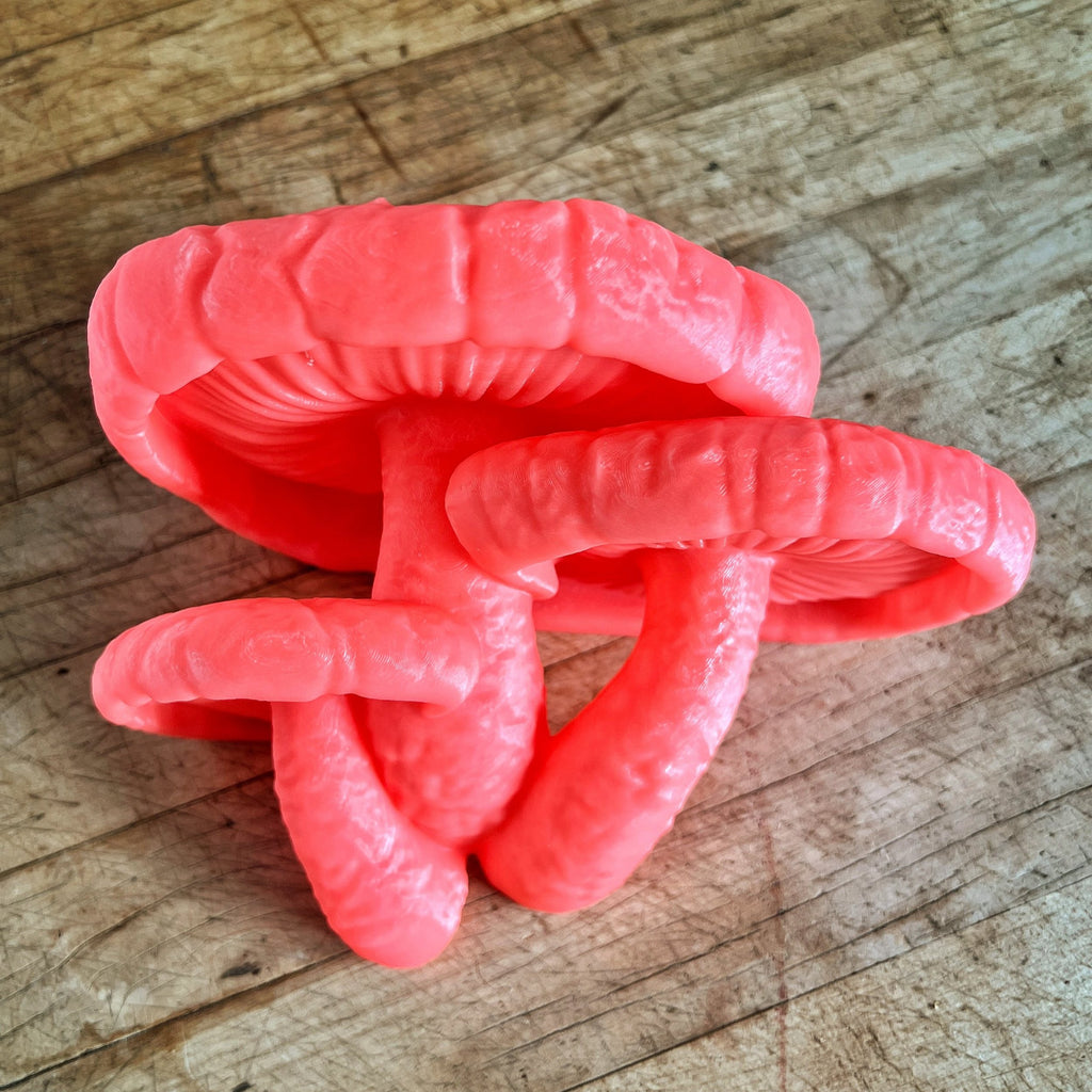 Edodes Fungus (Shiitake) Mushroom Shelf, Glow In The Dark Mushroom Shelf, Fungi Shelves