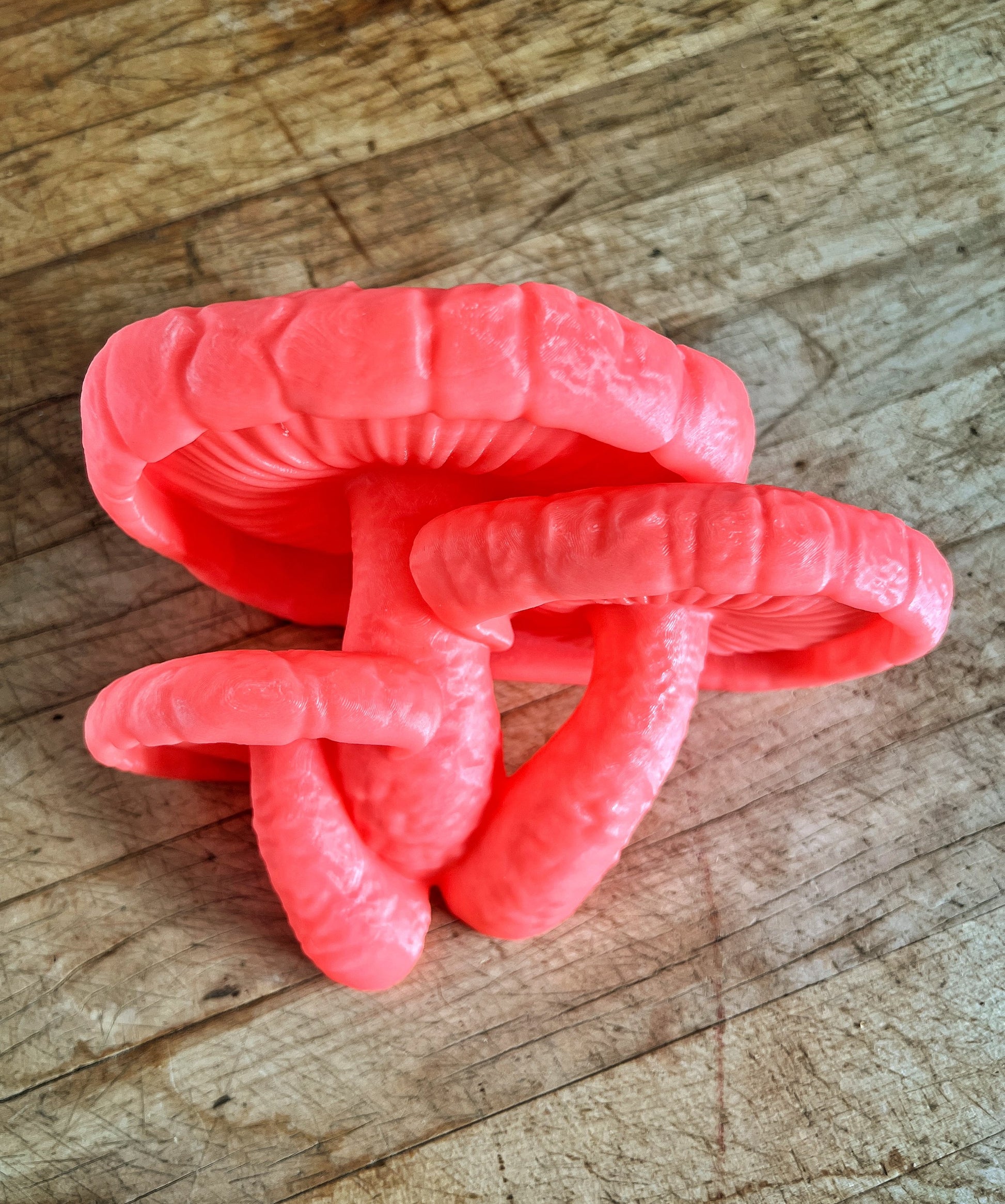 Lot de petites étagères champignon phosphorescentes, décoration de chambre esthétique et forestière