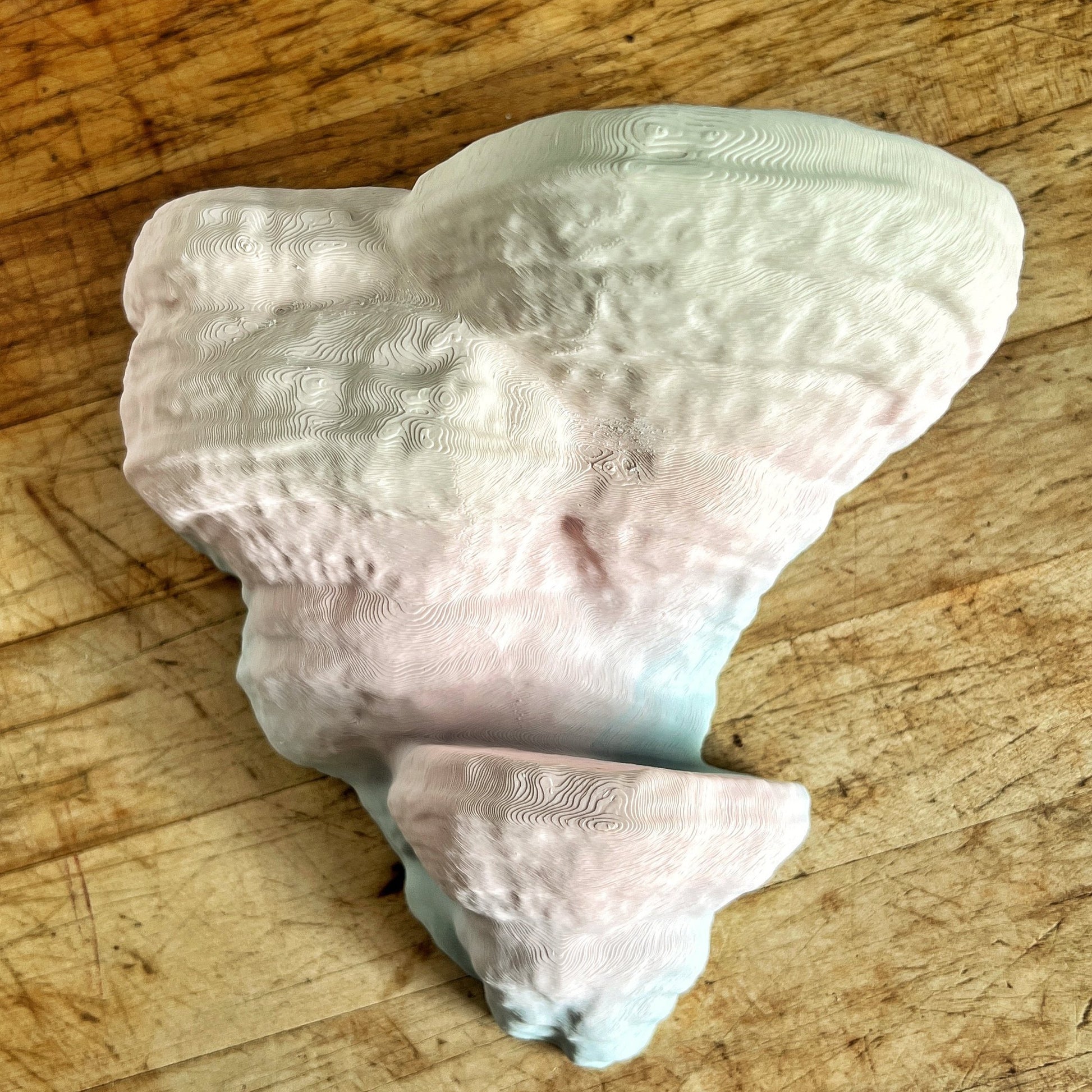 Étagère à champignons Fomentarius (champignon du sabot), étagères à champignons phosphorescentes, décoration phosphorescente