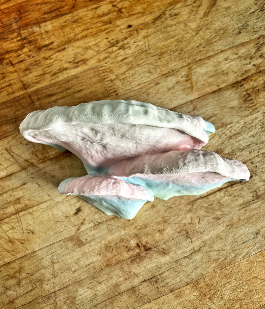 Lot de petites étagères champignon phosphorescentes, décoration de chambre esthétique et forestière