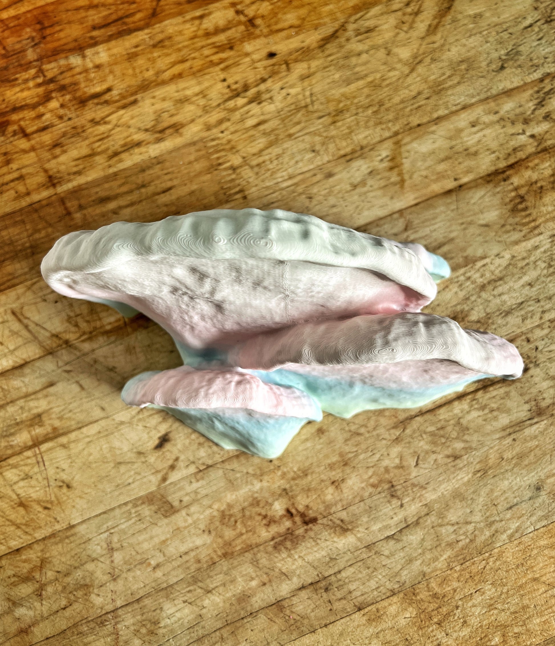 Lot de petites étagères champignon phosphorescentes, décoration de chambre esthétique et forestière