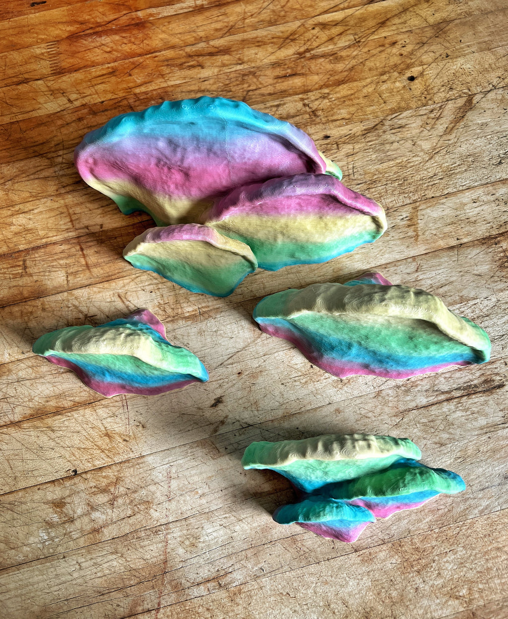 Pinicula Full Set of Mushroom Shelves, Mushroom Shelf, Fungi Shelf Set