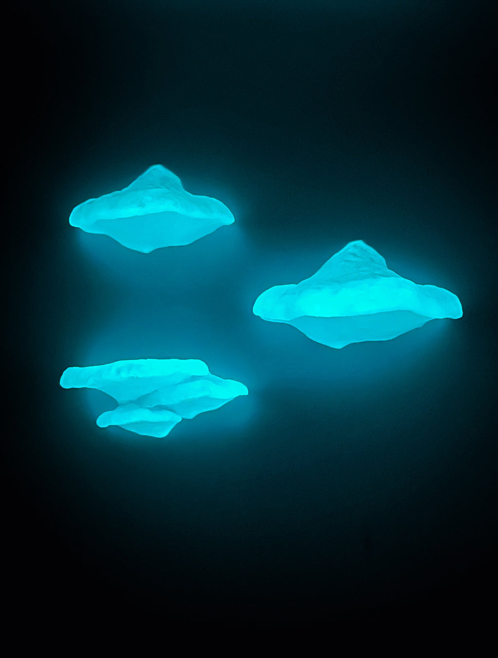 Pinicula Mini Set of Mushoom Shelves, Mushroom Shelf Set, Mushroom Decor