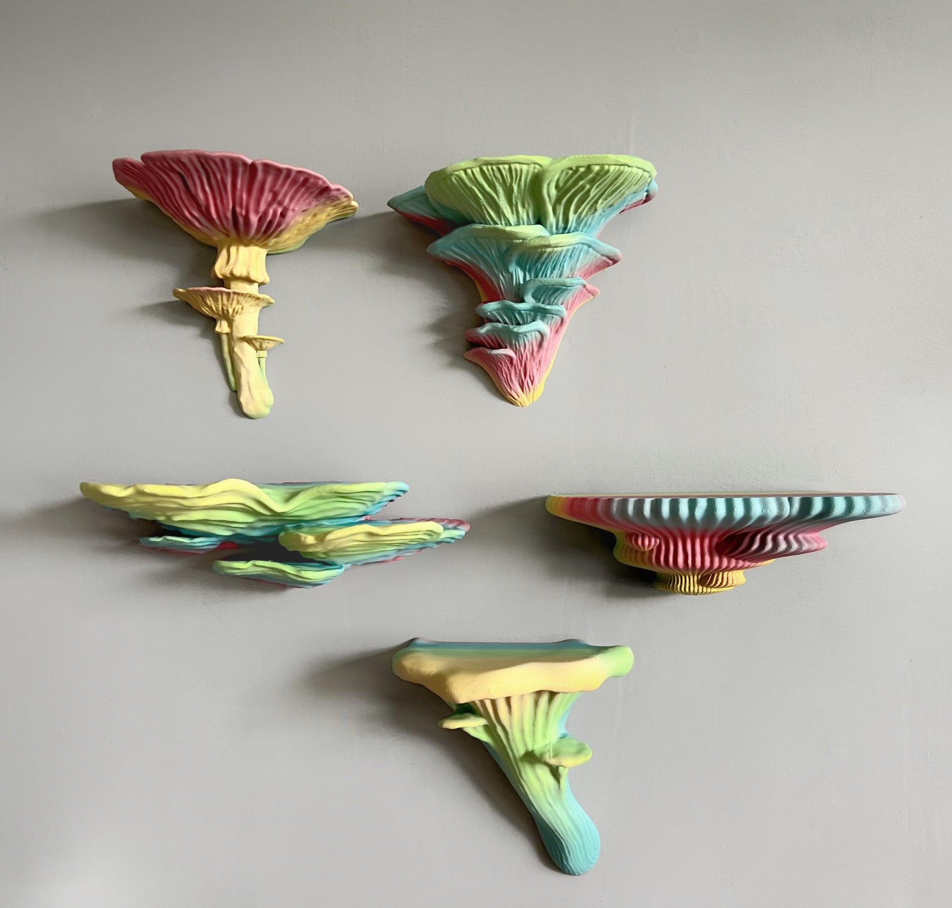 5 Fungus bundle: Glow In The Dark Mushroom Shelves - Medium Set