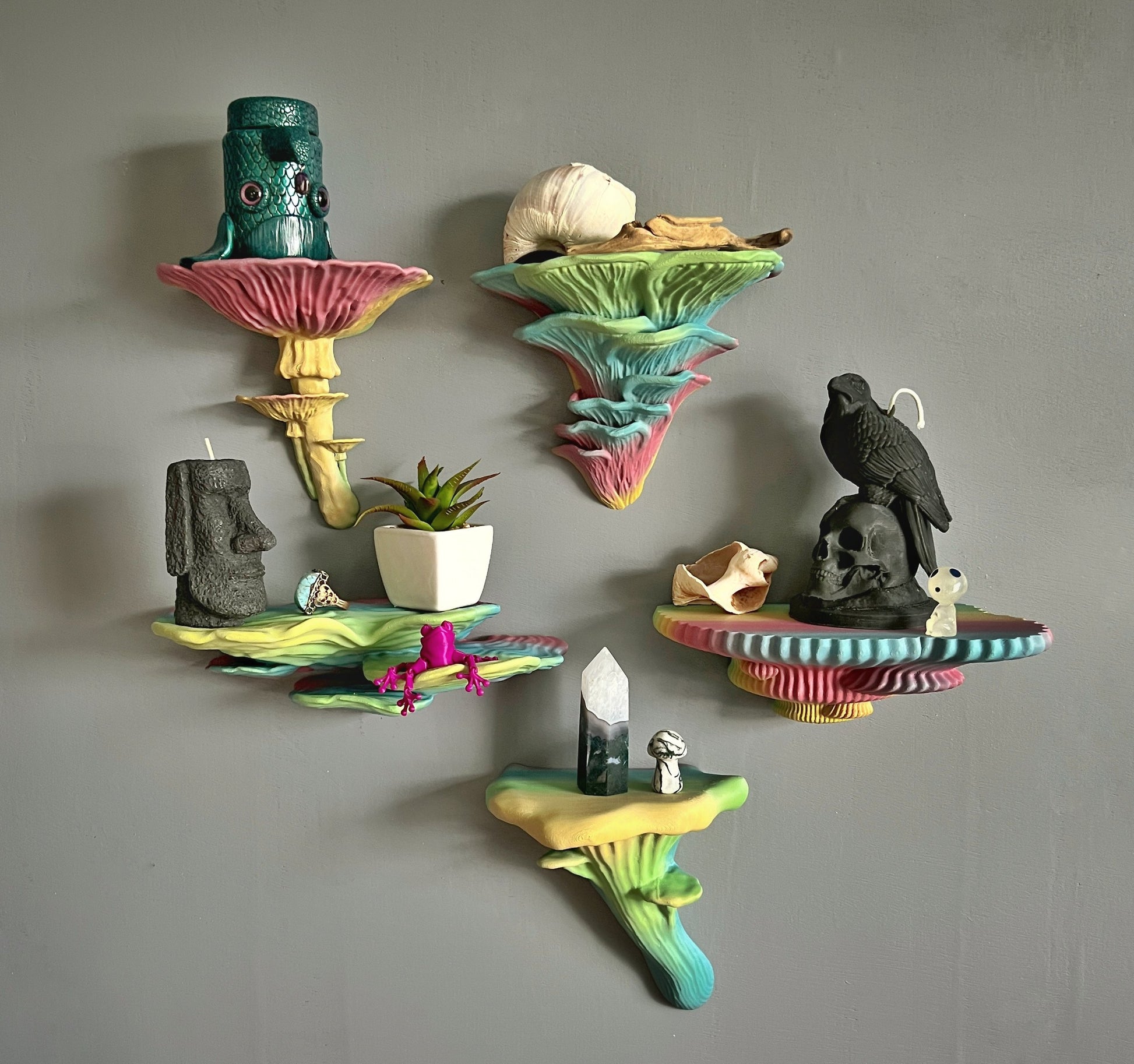 5 Fungus bundle: Glow In The Dark Mushroom Shelves - Medium Set
