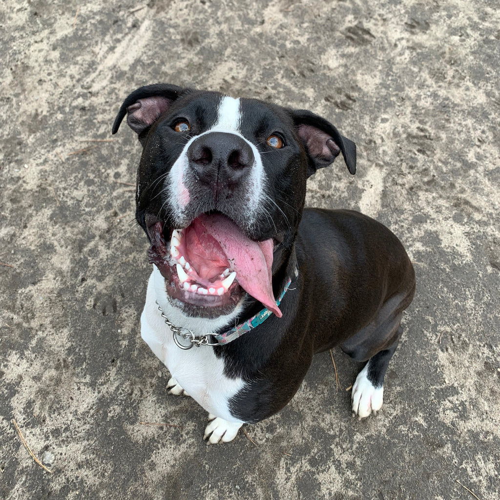 Chapeau en nylon Ramona 