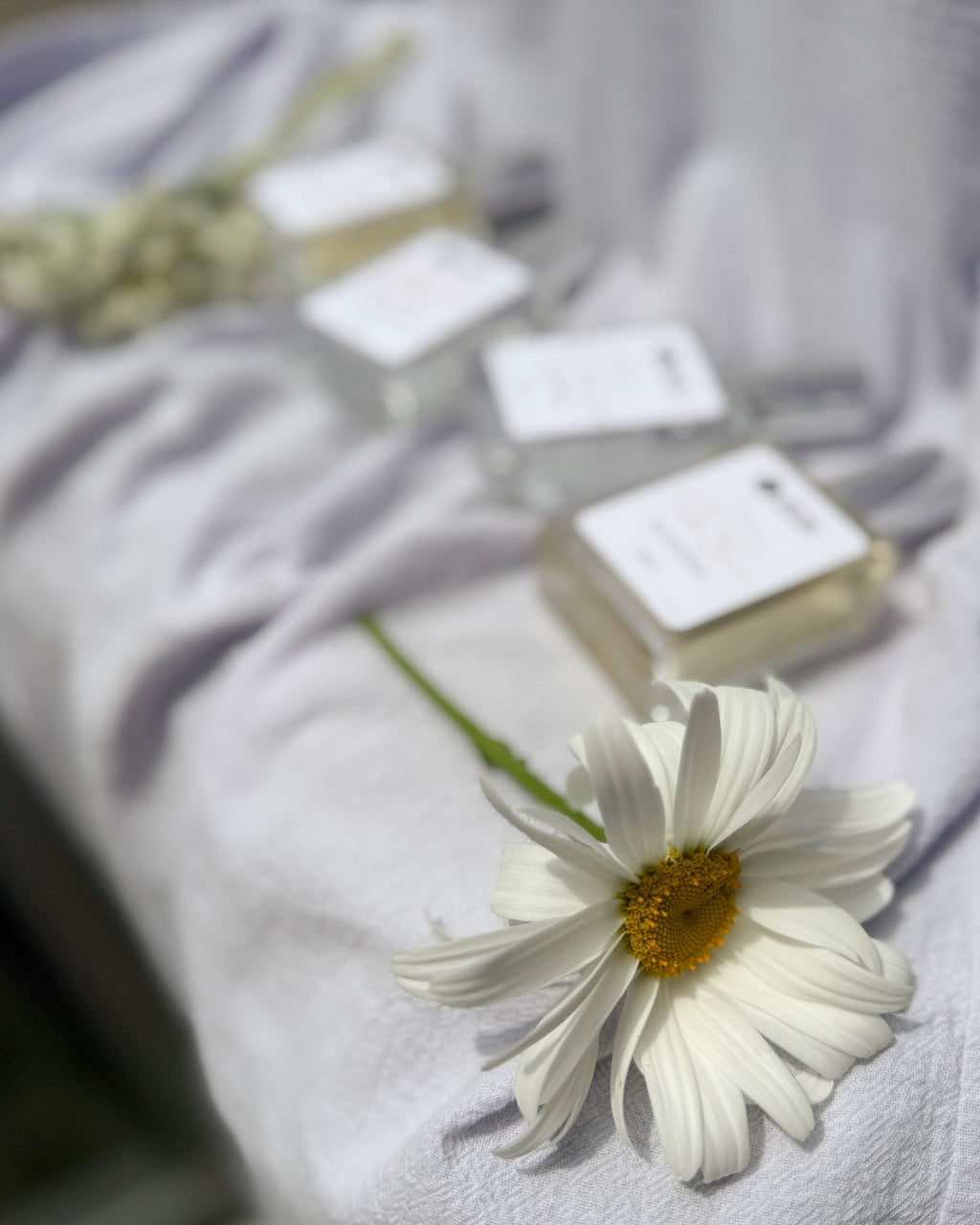 Botanical Perfume  - Vetiver + Spiced Bergamot
